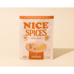 NICE® Spices - Estrogonofe 40G