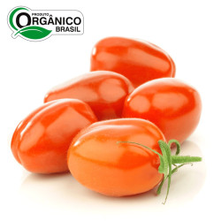Tomate Italiano Orgânico Sitio da Boa Esperança Bandeja 400gr  - Entrega Semanal