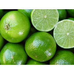 Limão Taiti Orgânico Sitio da Boa Esperança 1kg - Entrega Semanal