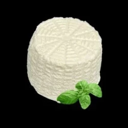 Ricota Vegetal 280gr Ecozy  
