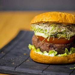 Hamburguer de Alho Poró Vegano Lyrios 120g